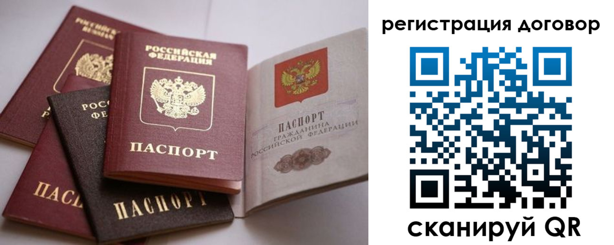 прописка в Ртищево